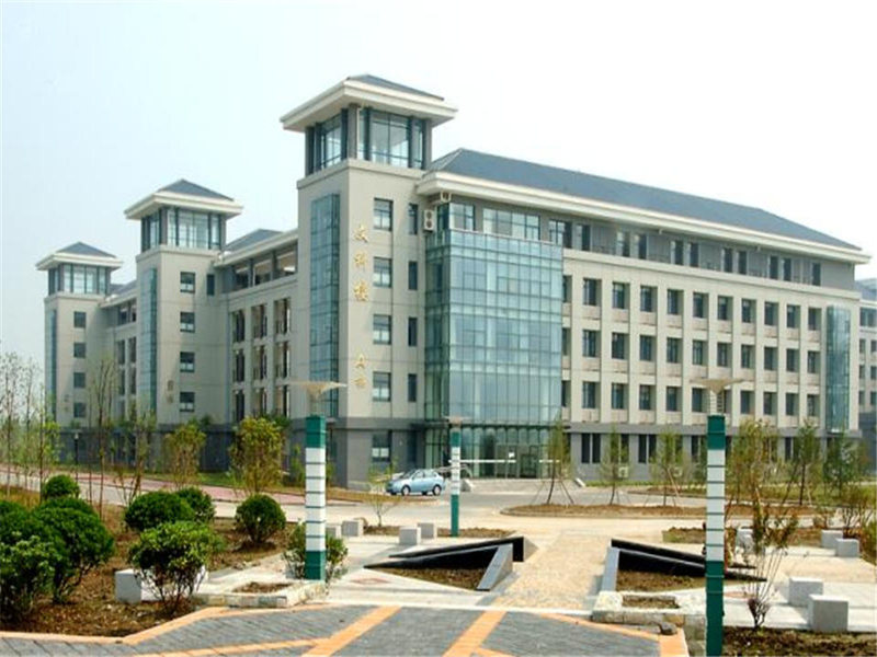 cis-new-year