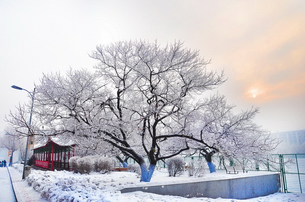 HRBEU-winter-scene