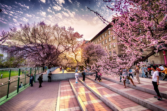 HRBEU-spring-view