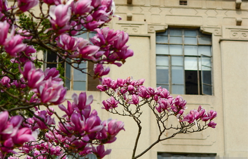 Huazhong-University-of-Science-and-Technology-campus-view