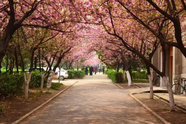 School-Road