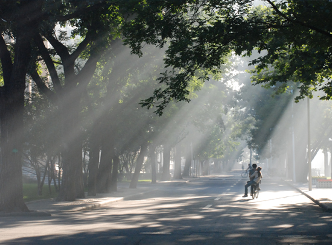 Tianjin-University-autumn-sunlight