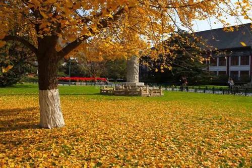 Peking-University-Campus-View