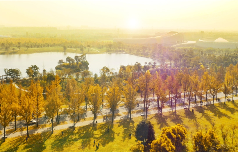autumn-senery-UESTC