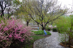 HRBEU-river-flower