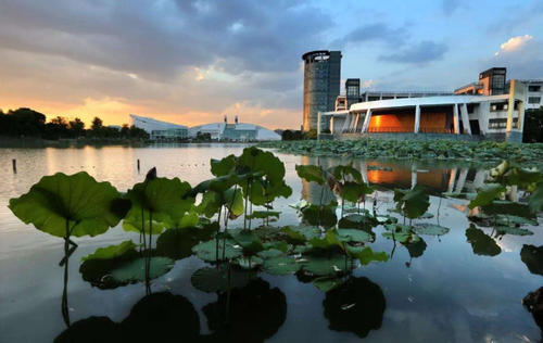 Zhejiang-University-campus-view-4