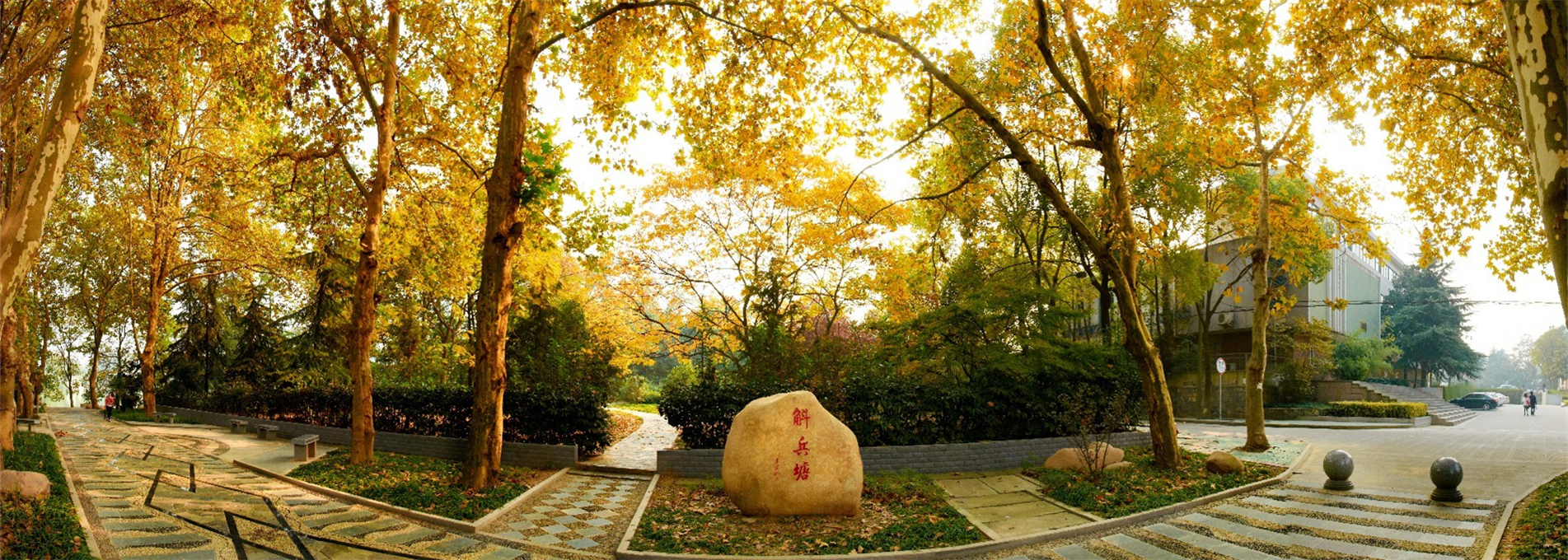 HFUT-autumn-scenery