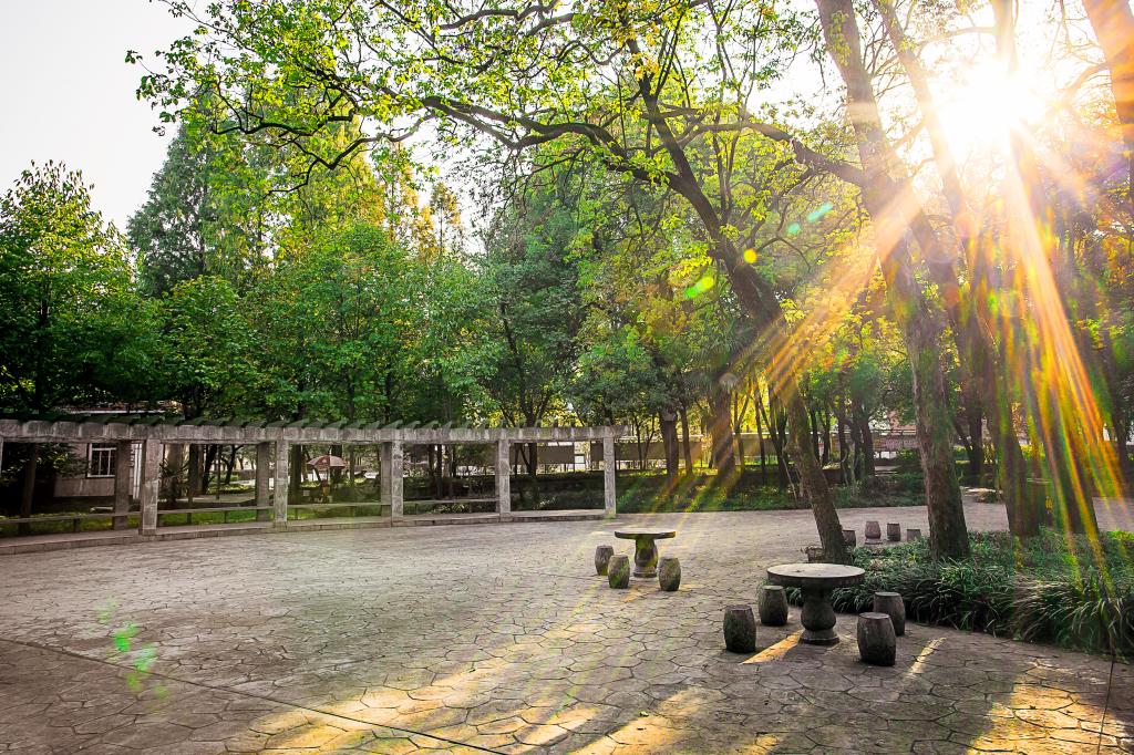 HFUT-morning-scenery