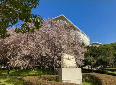 Nanjing-Normal-University-campus-view