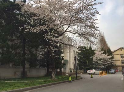 Nanjing-Normal-University-campus-view