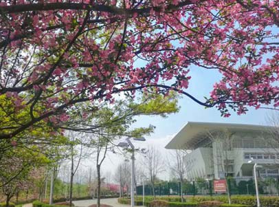 Nanjing-Normal-University-campus-view