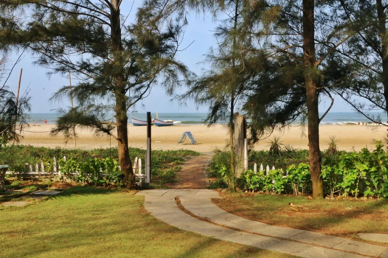 Staying in Morjim Beach: 4 Beachfront Resorts Compared