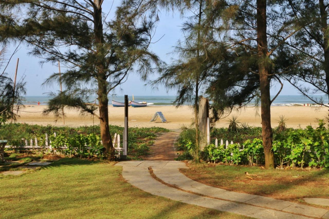 Staying in Morjim Beach: 4 Beachfront Resorts Compared