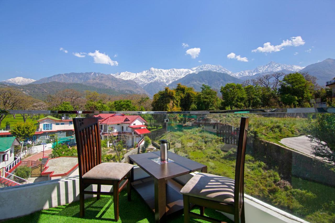 Staying Near Kangra Airport: 5 Dharamshala Hotels Compared